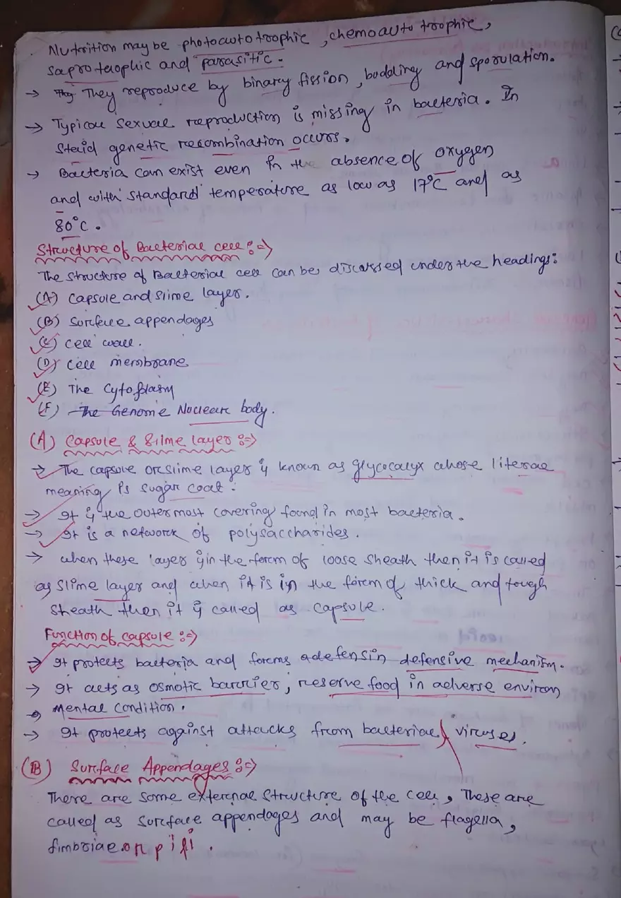 Chapter 1: Bacteria - Page 2